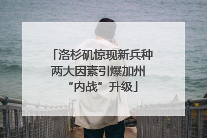 洛杉矶惊现新兵种 两大因素引爆加州“内战”升级
