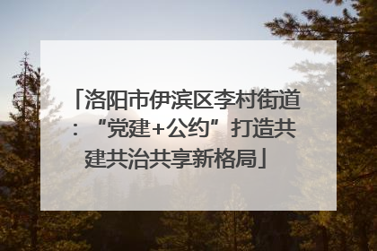 洛阳市伊滨区李村街道：“党建+公约”打造共建共治共享新格局