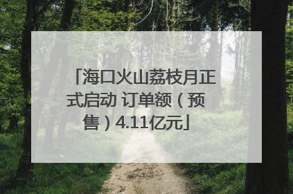 海口火山荔枝月正式启动 订单额（预售）4.11亿元