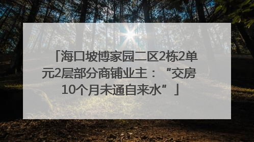 海口坡博家园二区2栋2单元2层部分商铺业主：“交房10个月未通自来水”
