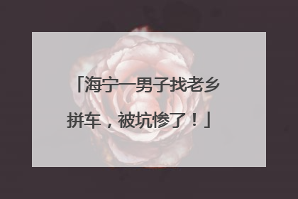 海宁一男子找老乡拼车，被坑惨了！