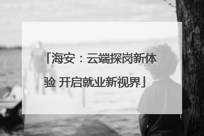 海安：云端探岗新体验 开启就业新视界