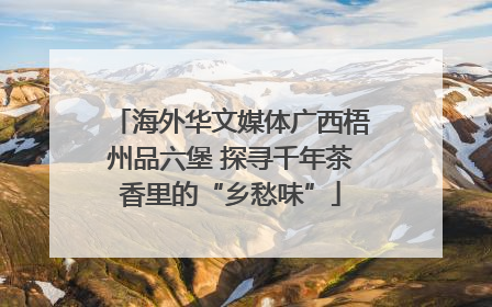 海外华文媒体广西梧州品六堡 探寻千年茶香里的“乡愁味”