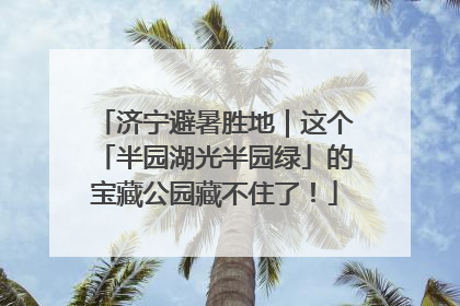 济宁避暑胜地｜这个「半园湖光半园绿」的宝藏公园藏不住了！