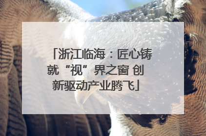 浙江临海：匠心铸就“视”界之窗 创新驱动产业腾飞