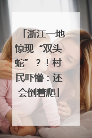 浙江一地惊现“双头蛇”？！村民吓懵：还会倒着爬