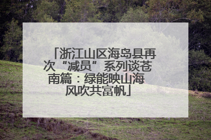 浙江山区海岛县再次“减员”系列谈苍南篇：绿能映山海 风吹共富帆