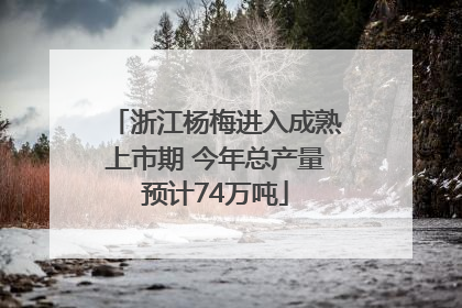 浙江杨梅进入成熟上市期 今年总产量预计74万吨