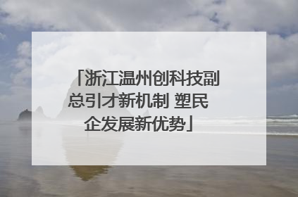 浙江温州创科技副总引才新机制 塑民企发展新优势