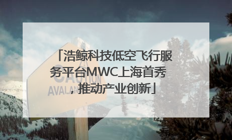 浩鲸科技低空飞行服务平台MWC上海首秀，推动产业创新