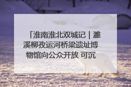 淮南淮北双城记｜濉溪柳孜运河桥梁遗址博物馆向公众开放 可沉浸式触摸历史