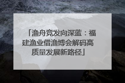 渔舟竞发向深蓝：福建渔业借渔博会解码高质量发展新路径