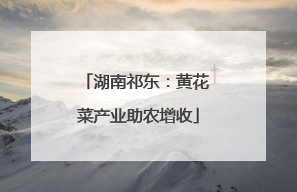 湖南祁东：黄花菜产业助农增收