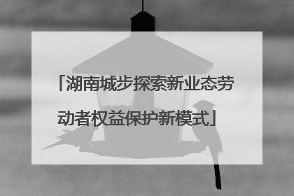 湖南城步探索新业态劳动者权益保护新模式