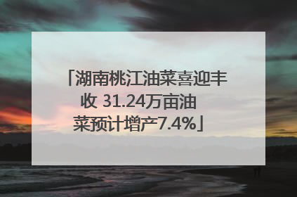 湖南桃江油菜喜迎丰收 31.24万亩油菜预计增产7.4%