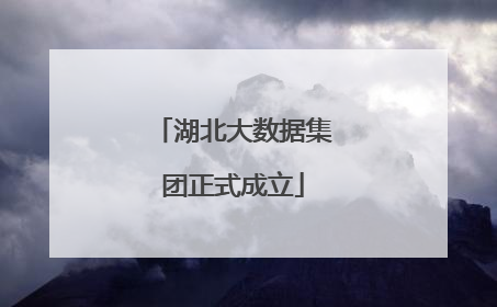 湖北大数据集团正式成立