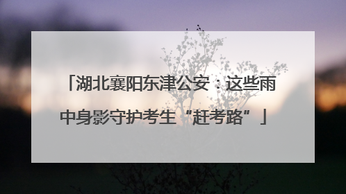湖北襄阳东津公安：这些雨中身影守护考生“赶考路”
