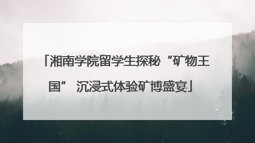 湘南学院留学生探秘“矿物王国” 沉浸式体验矿博盛宴