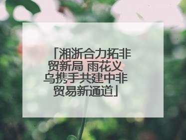 湘浙合力拓非贸新局 雨花义乌携手共建中非贸易新通道