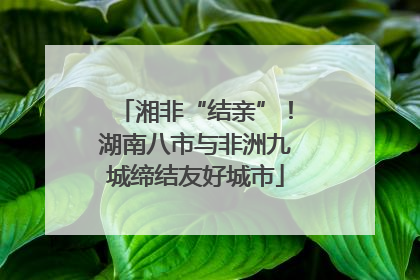 湘非“结亲”！湖南八市与非洲九城缔结友好城市