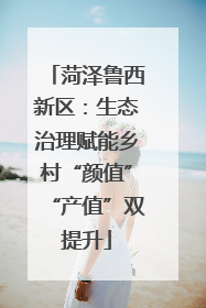 菏泽鲁西新区：生态治理赋能乡村“颜值”“产值”双提升