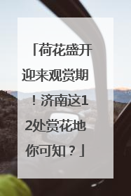 荷花盛开迎来观赏期！济南这12处赏花地你可知？