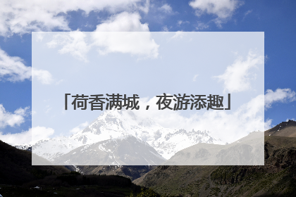 荷香满城，夜游添趣
