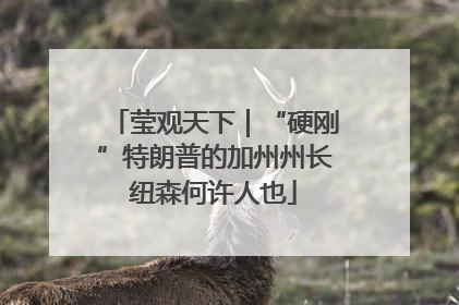 莹观天下｜“硬刚”特朗普的加州州长纽森何许人也
