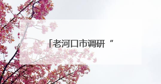 老河口市调研“润泽花开·童心护航”项目 推进儿童友好社区建设