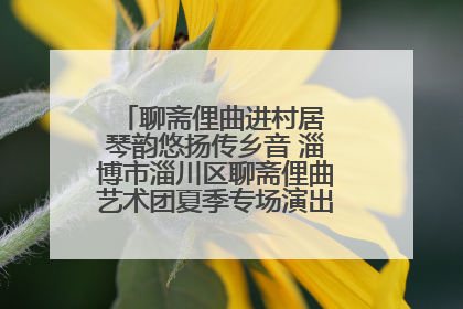 聊斋俚曲进村居 琴韵悠扬传乡音 淄博市淄川区聊斋俚曲艺术团夏季专场演出在杏园子村举行