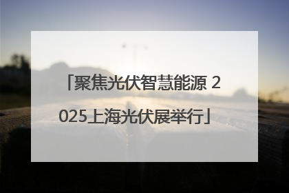 聚焦光伏智慧能源 2025上海光伏展举行