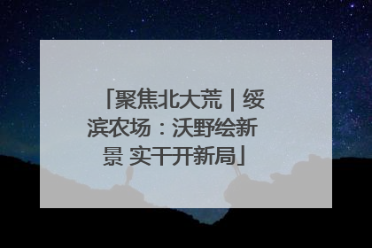 聚焦北大荒｜绥滨农场：沃野绘新景 实干开新局