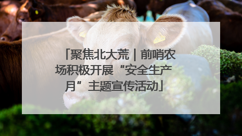 聚焦北大荒｜前哨农场积极开展“安全生产月”主题宣传活动