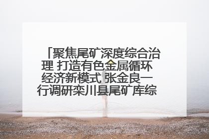 聚焦尾矿深度综合治理 打造有色金属循环经济新模式 张金良一行调研栾川县尾矿库综合治理工作