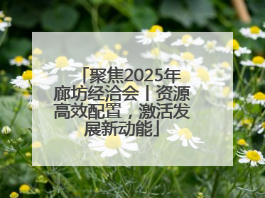 聚焦2025年廊坊经洽会丨资源高效配置，激活发展新动能