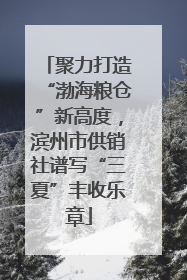 聚力打造“渤海粮仓”新高度，滨州市供销社谱写“三夏”丰收乐章