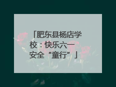 肥东县杨店学校：快乐六一 安全“童行”