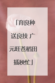 育良种 送良技 广元旺苍稻田插秧忙