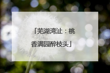 芜湖湾沚：桃香满园醉枝头