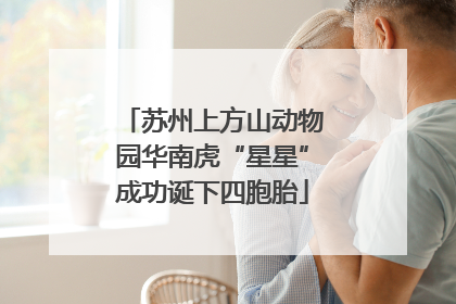 苏州上方山动物园华南虎“星星”成功诞下四胞胎