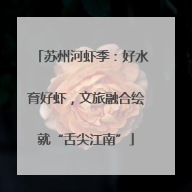 苏州河虾季：好水育好虾，文旅融合绘就“舌尖江南”