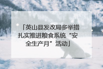 英山县发改局多举措扎实推进粮食系统“安全生产月”活动