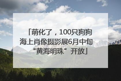 萌化了，100只狗狗海上肖像摄影展6月中旬“黄海明珠”开放