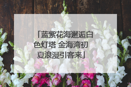 蓝紫花海邂逅白色灯塔 金海湾初夏浪漫引客来
