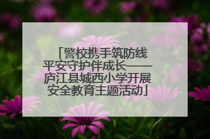 警校携手筑防线 平安守护伴成长——庐江县城西小学开展安全教育主题活动
