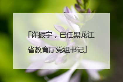 许振宇，已任黑龙江省教育厅党组书记