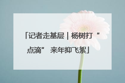 记者走基层｜杨树打“点滴” 来年抑飞絮