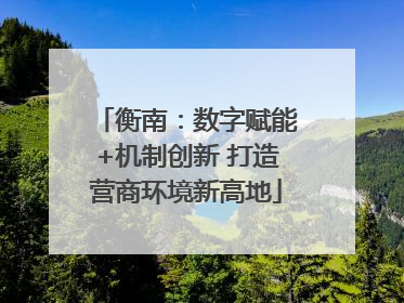 衡南：数字赋能+机制创新 打造营商环境新高地
