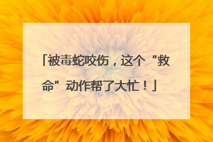 被毒蛇咬伤，这个“救命”动作帮了大忙！