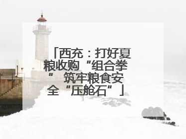 西充：打好夏粮收购“组合拳” 筑牢粮食安全“压舱石”